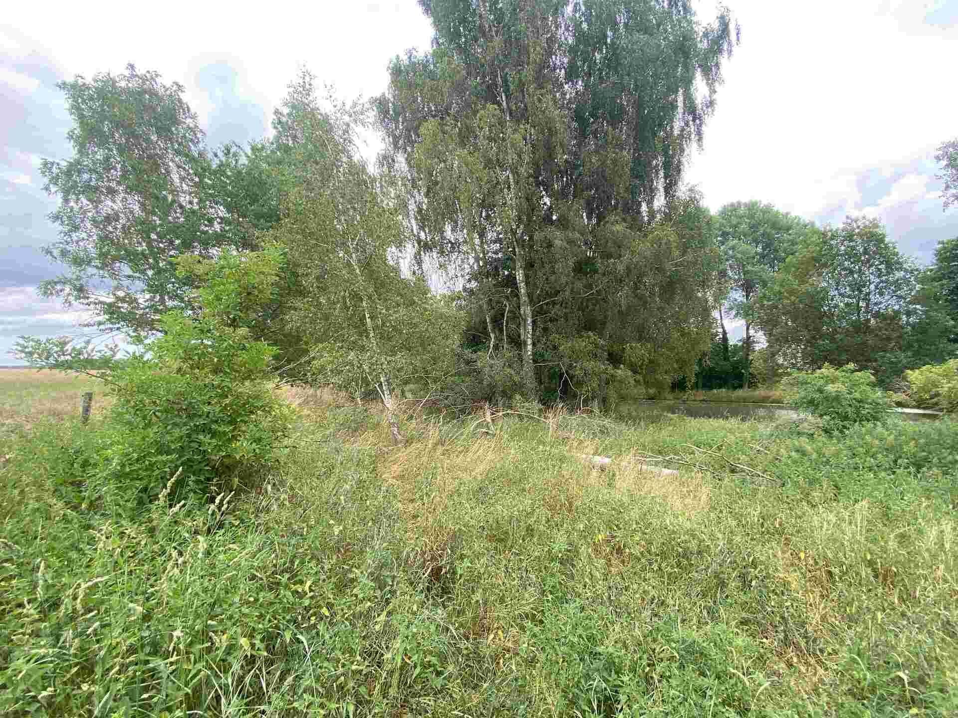Pozemek, 2 230 m²