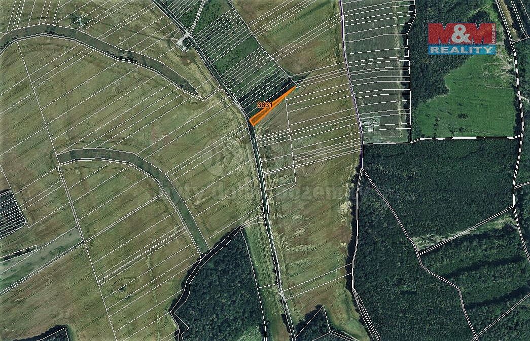 Les · Mouřínov, okres Vyškov, Jihomoravský kraj - 3