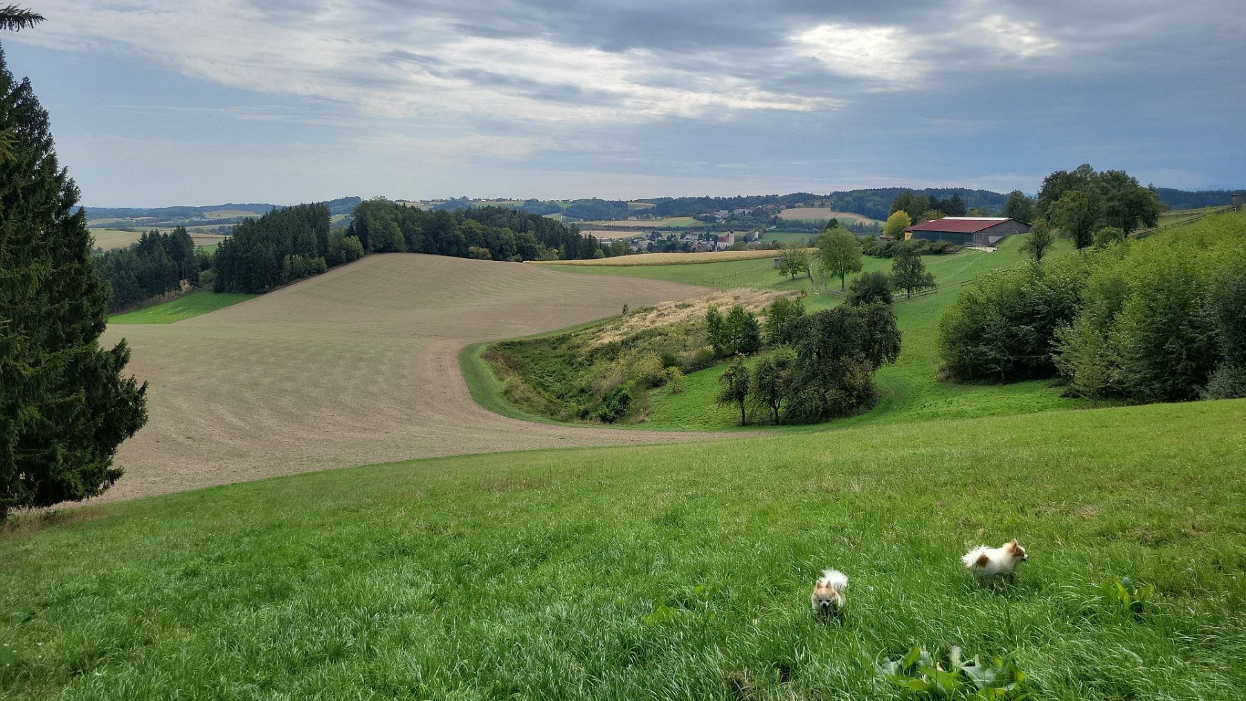 Rodinný dům · 200 m² · Pichl bei Wels Pichl bei Wels Oberösterreich 4632 - 4
