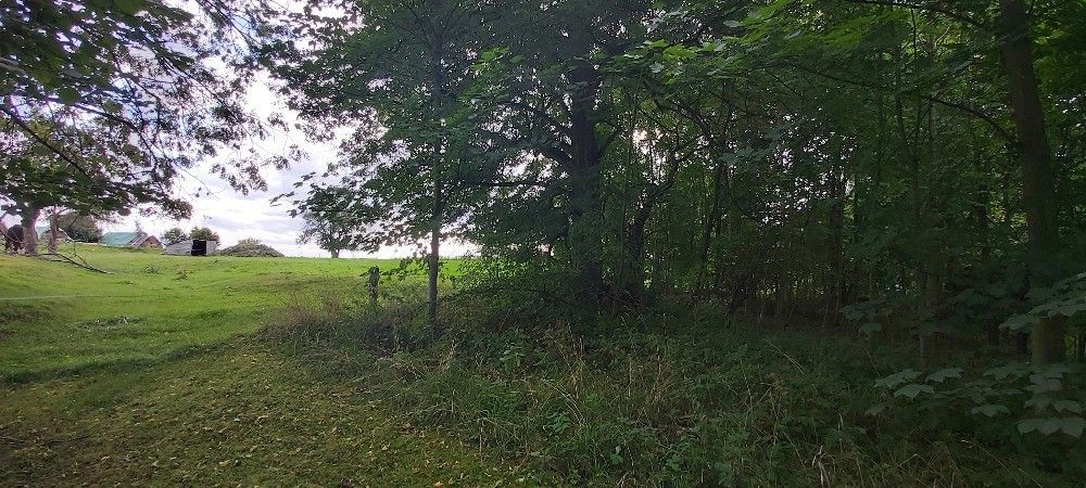 Pozemky pro bydlení, Dolní Poustevna, 407 82