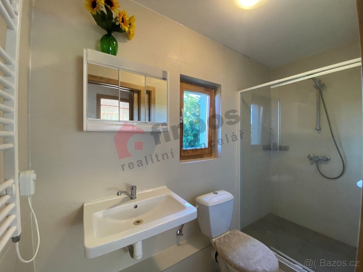 Prodej chata - Mladá Vožice, 391 43