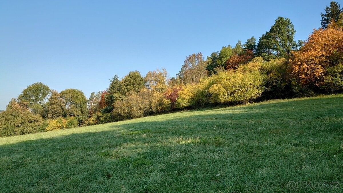 Prodej pozemek pro bydlení - Zruč nad Sázavou, 285 22 - 5