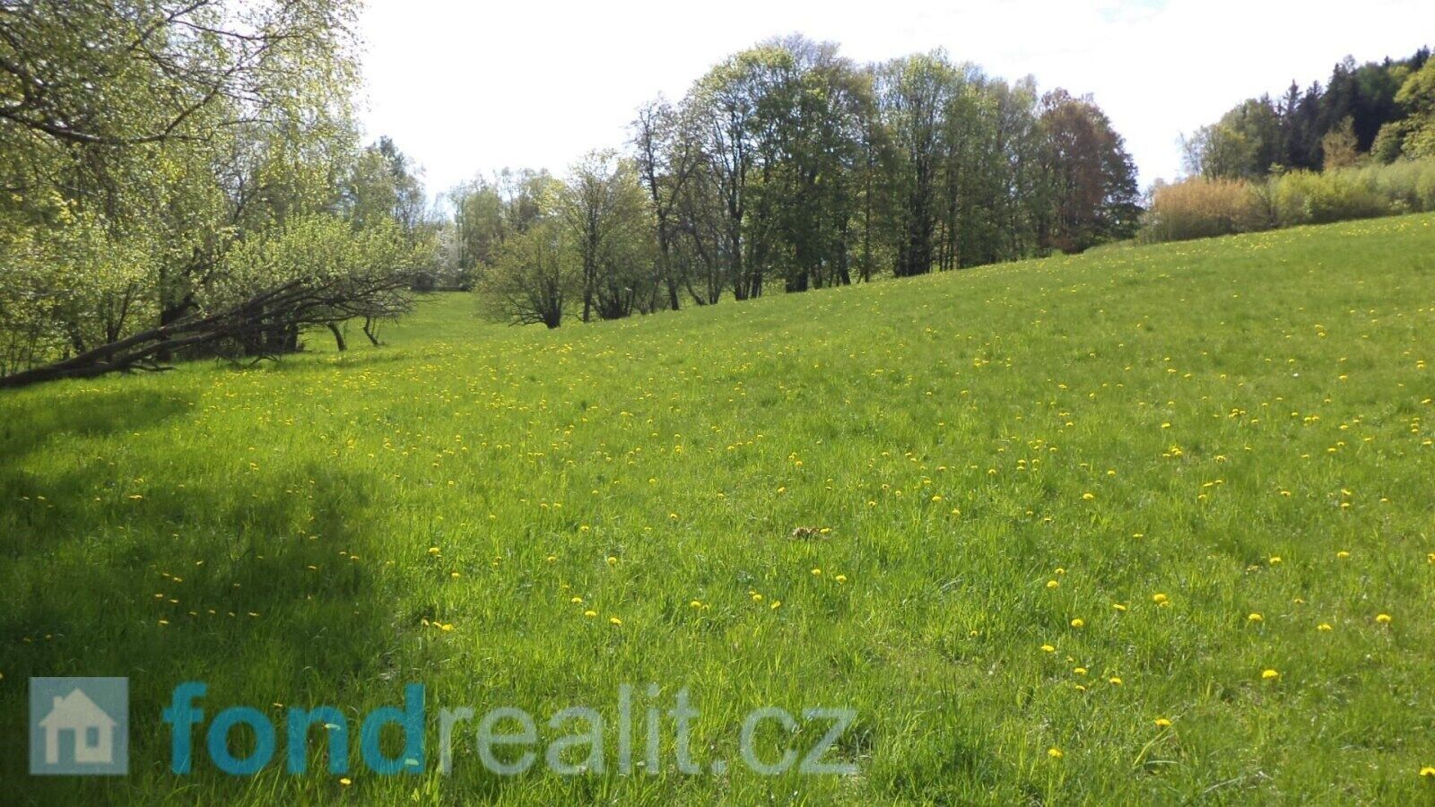 Prodej pozemek - Horní Heřmanice, 881 m²