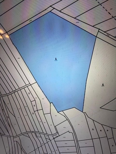 Prodej les - Březolupy