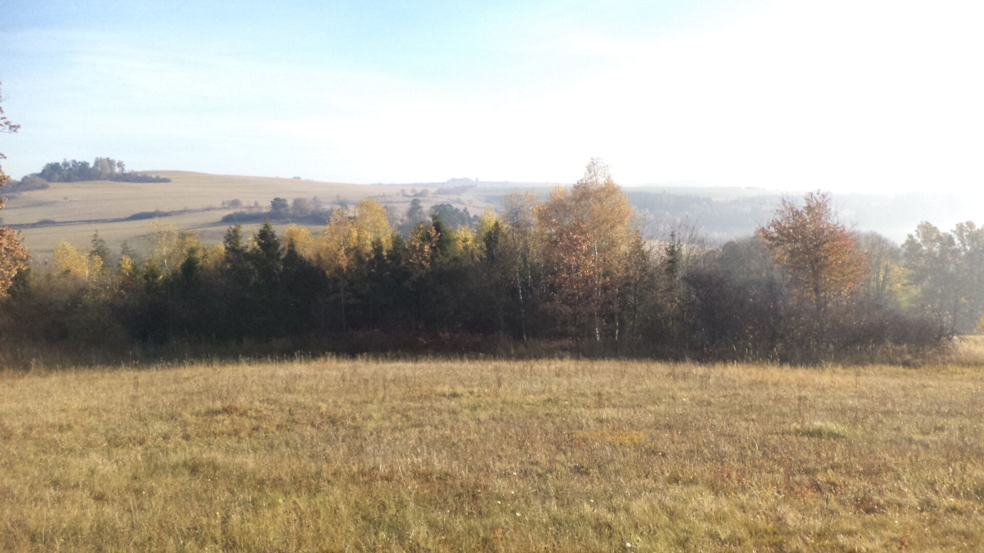 Louka · 60 778 m² · Budišov nad Budišovkou - 3