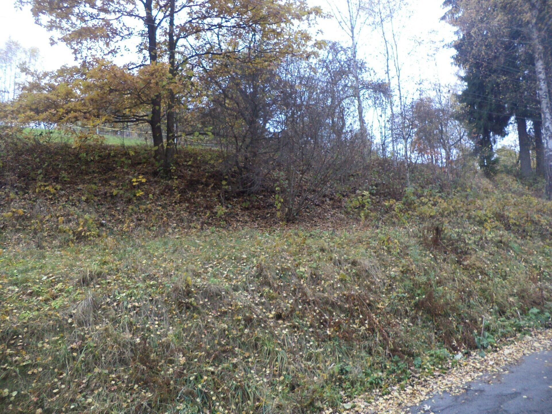 Prodej pozemek - Zlatá Olešnice, 792 m²