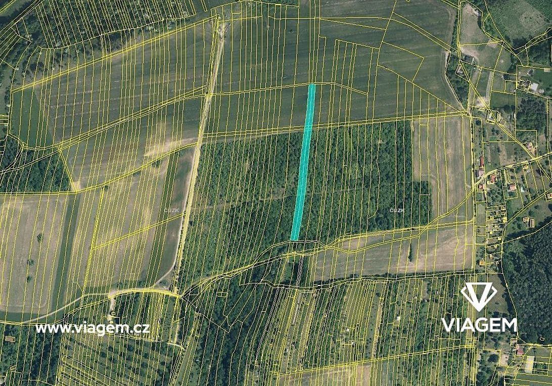 Zemědělské pozemky, Osvětimany, okres Uherské Hradiště, Zlínský kraj - 2