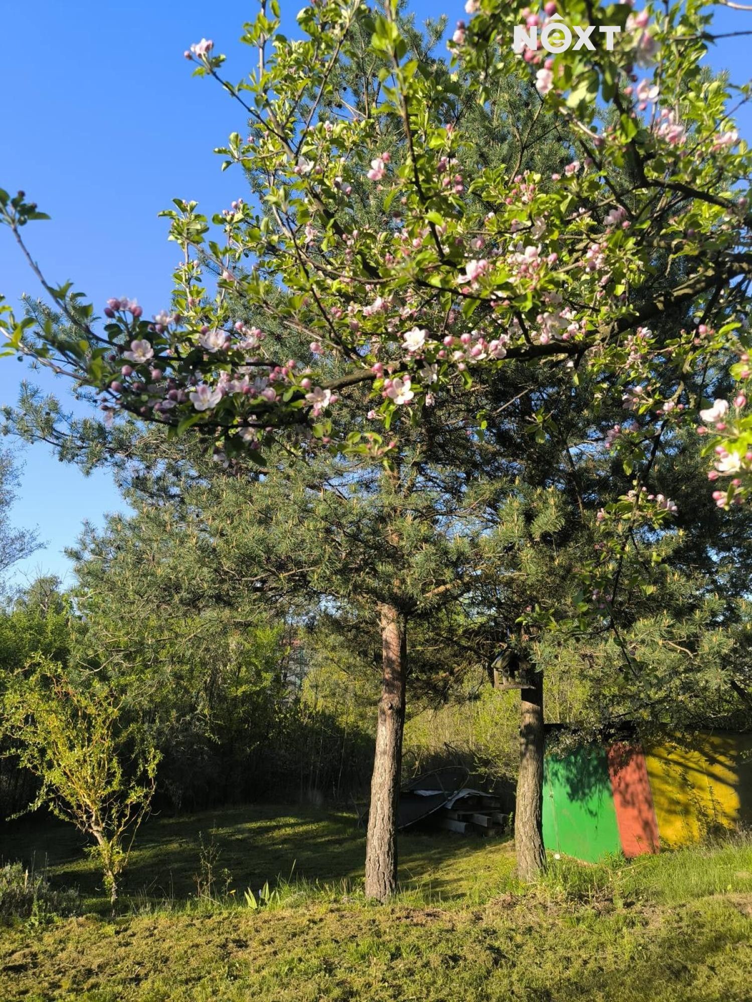 Zahrady, Vrchlabí - 2