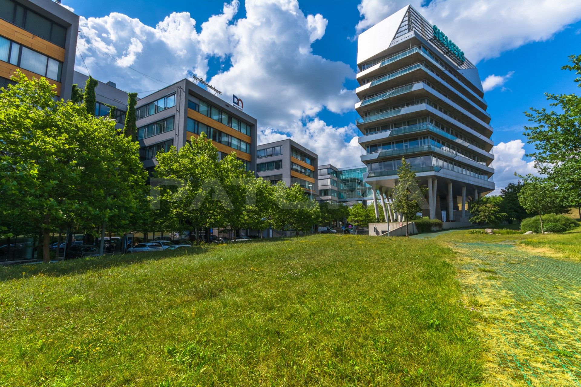 Kanceláře, Siemensova, Praha, 600 m²