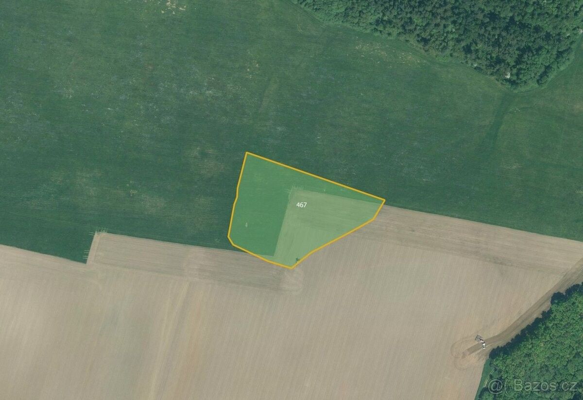 Prodej pozemek pro bydlení - Bor u Tachova, 348 02