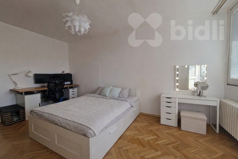 1+kk, Ježkova, Brno, 29 m²