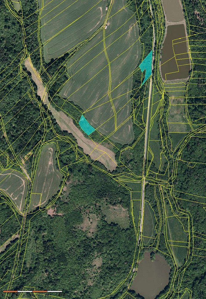 Les · Fulnek - Lukavec, okres Nový Jičín, Moravskoslezský kraj - 4