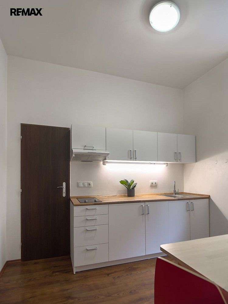 1+1, Cejl, Brno - Zábrdovice, 29 m² - 1