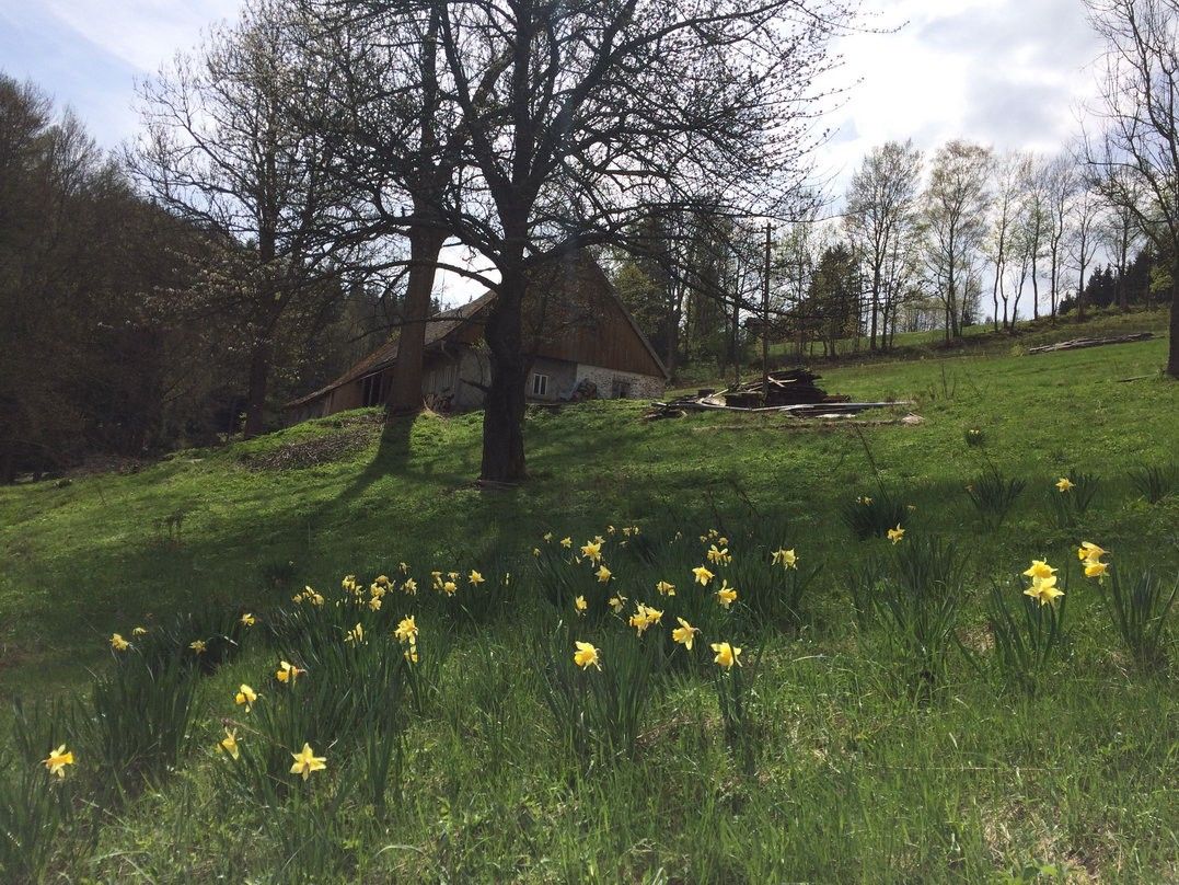 Pronájem chalupa - Horní Maršov, 80 m²