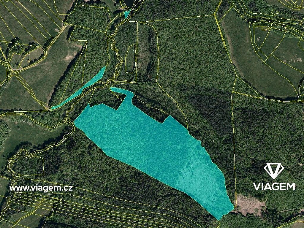Les · Bojkovice, okres Uherské Hradiště, Zlínský kraj - 4