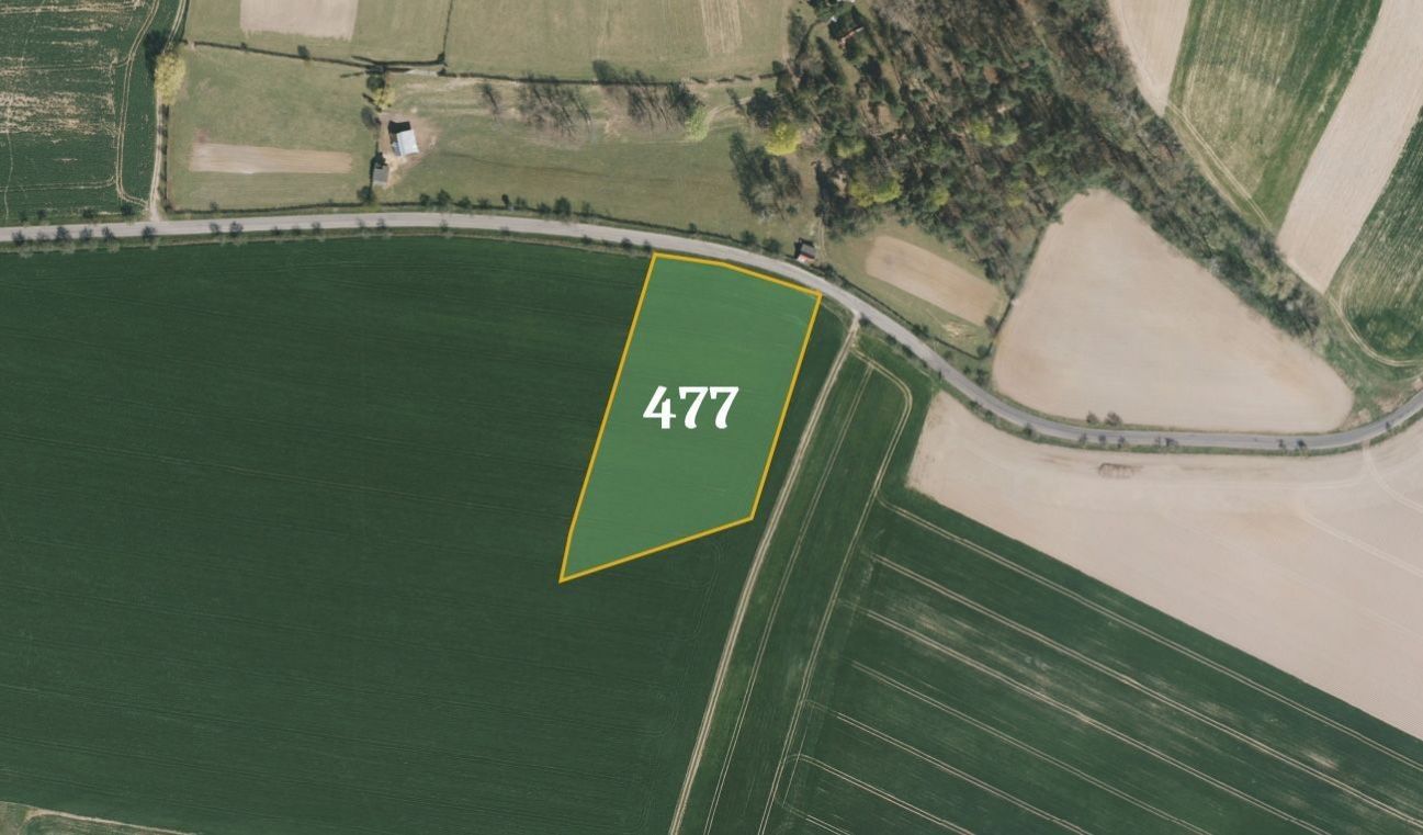Prodej zemědělský pozemek - Bělá pod Bezdězem, 10 420 m²