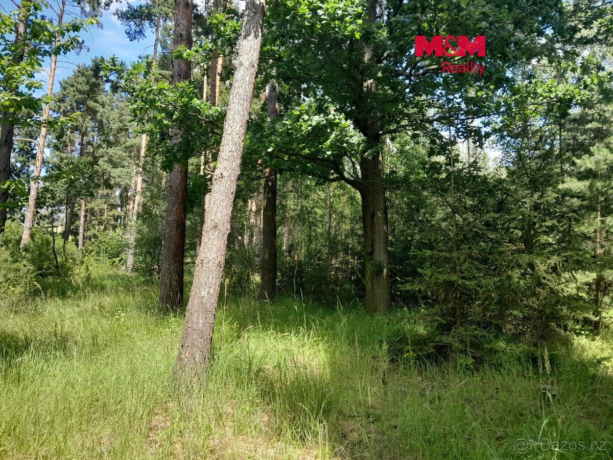 Pozemky pro bydlení, Písek, 397 01 - 1