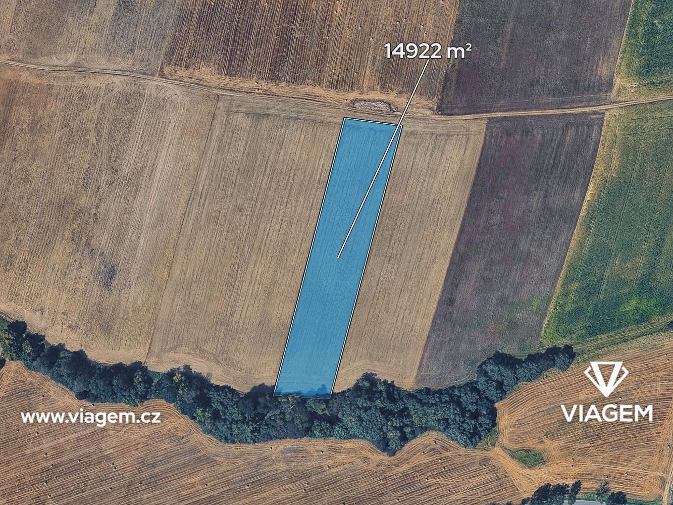 Prodej zemědělský pozemek - Osvračín, okres Domažlice, Plzeňský kraj - 2
