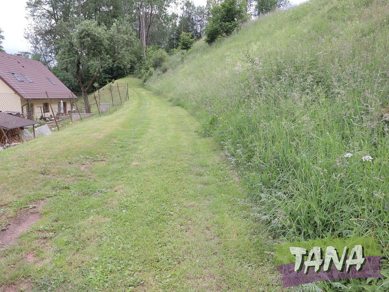 Prodej louka - Rudník - Arnultovice, okres Trutnov, Královéhradecký kraj - 5