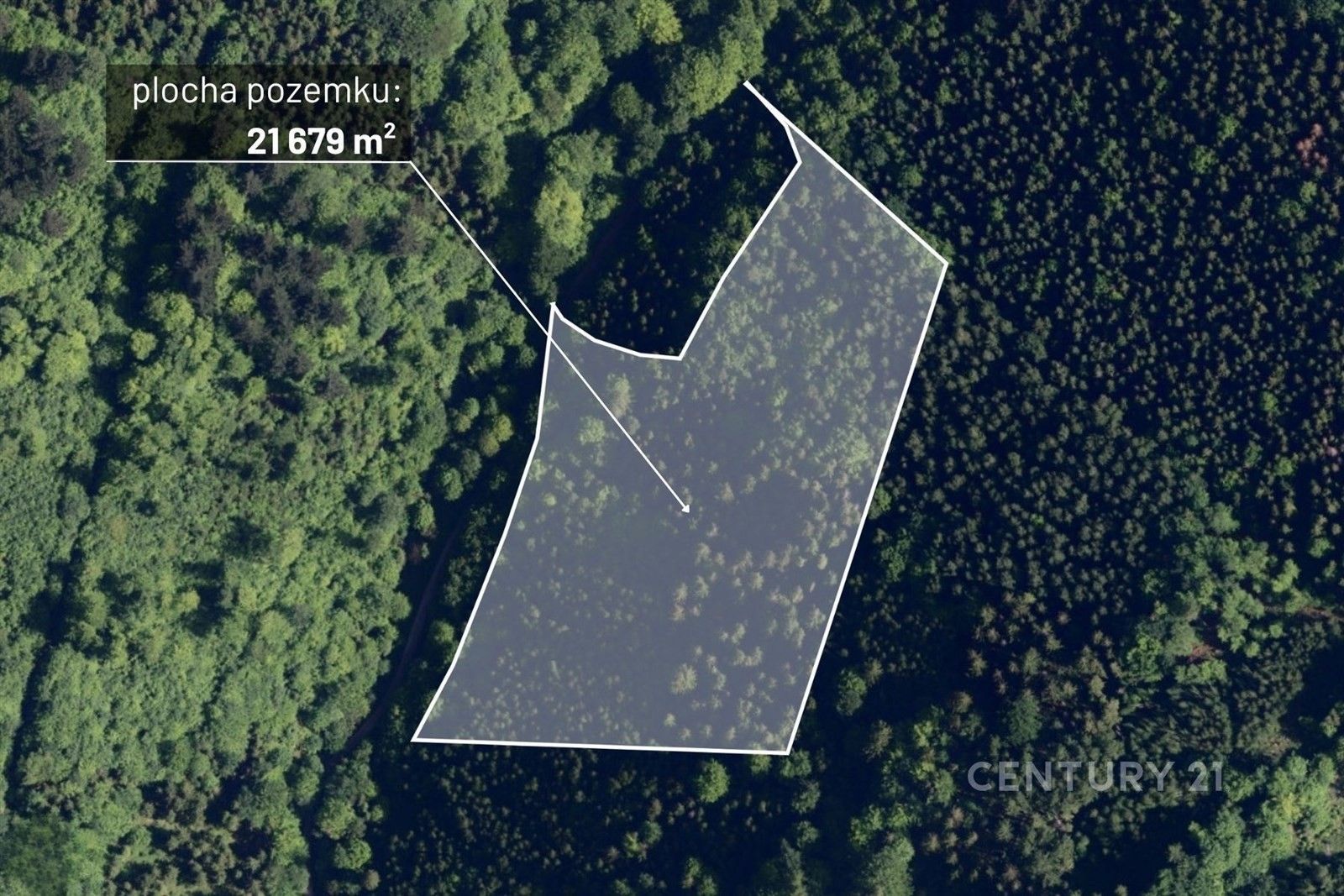 Lesy, Nýdek - 1