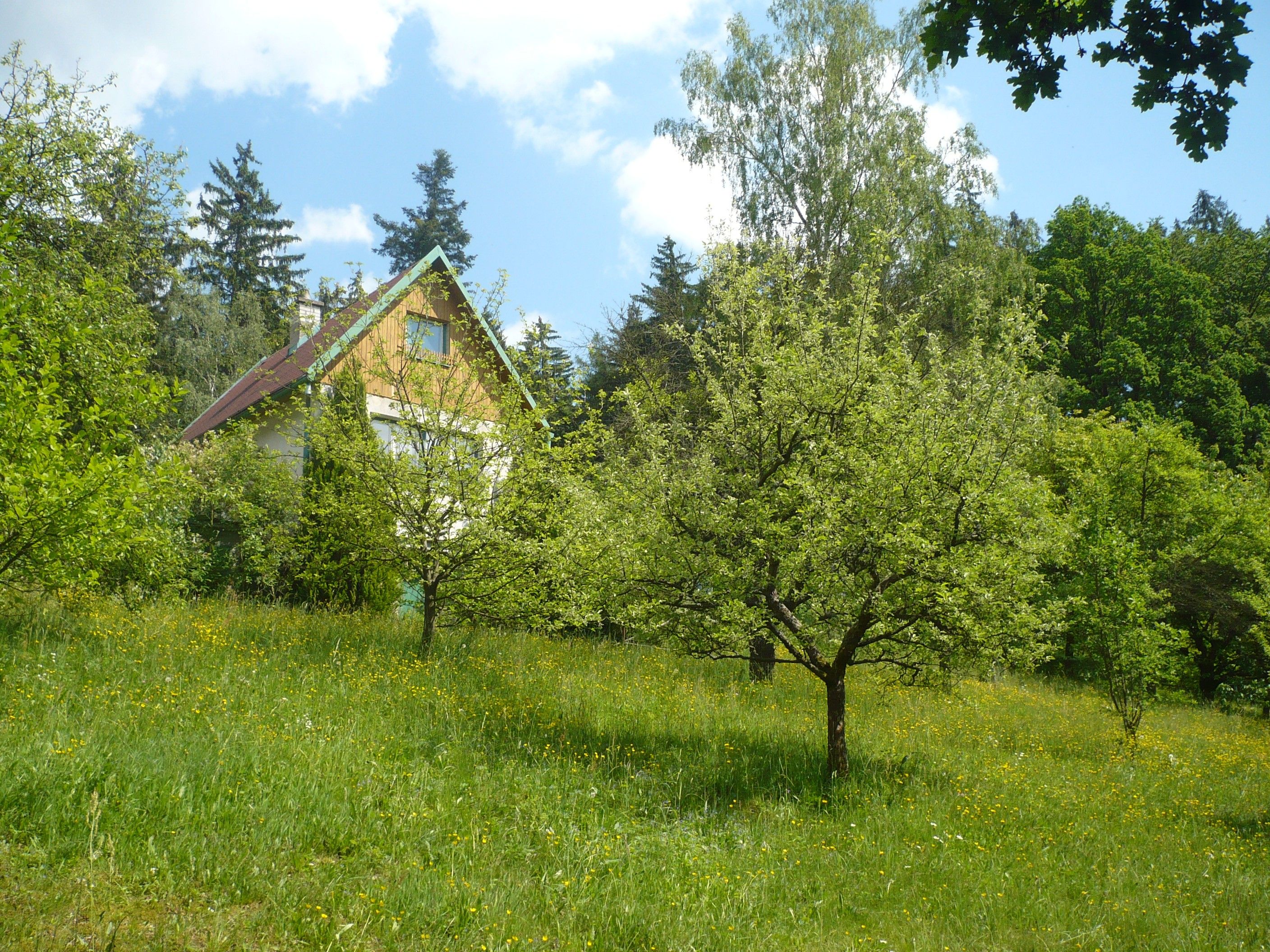 Chata · 5 030 m² · Staré náměstí, Česká Třebová - 3