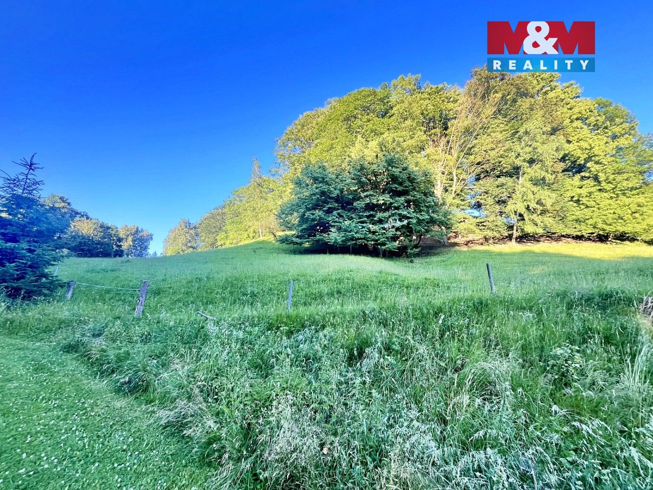 Prodej louka - Teplice nad Metují - Horní Teplice, okres Náchod, Královéhradecký kraj - 2