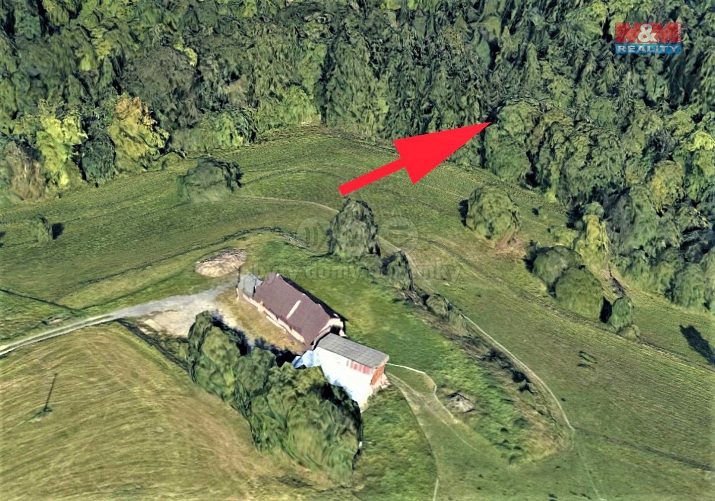 Les · Koberovy, okres Jablonec nad Nisou, Liberecký kraj - 3