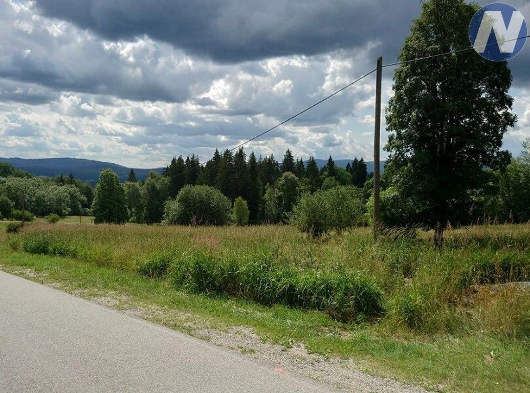 Prodej louka - Stožec, 18 127 m² - 5