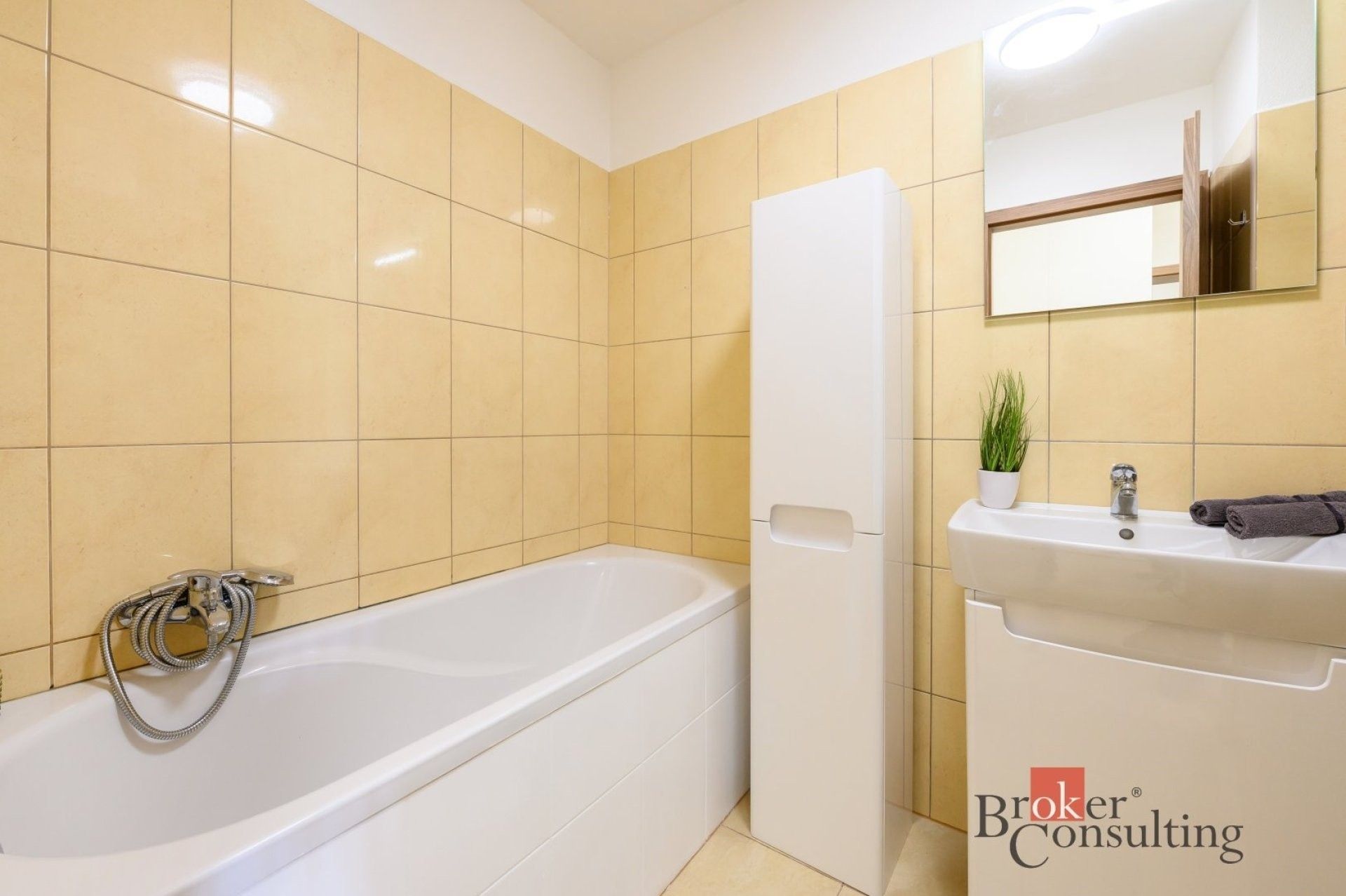Byt 2+kk · 59 m² · U Velkého rybníka, Plzeň - 3