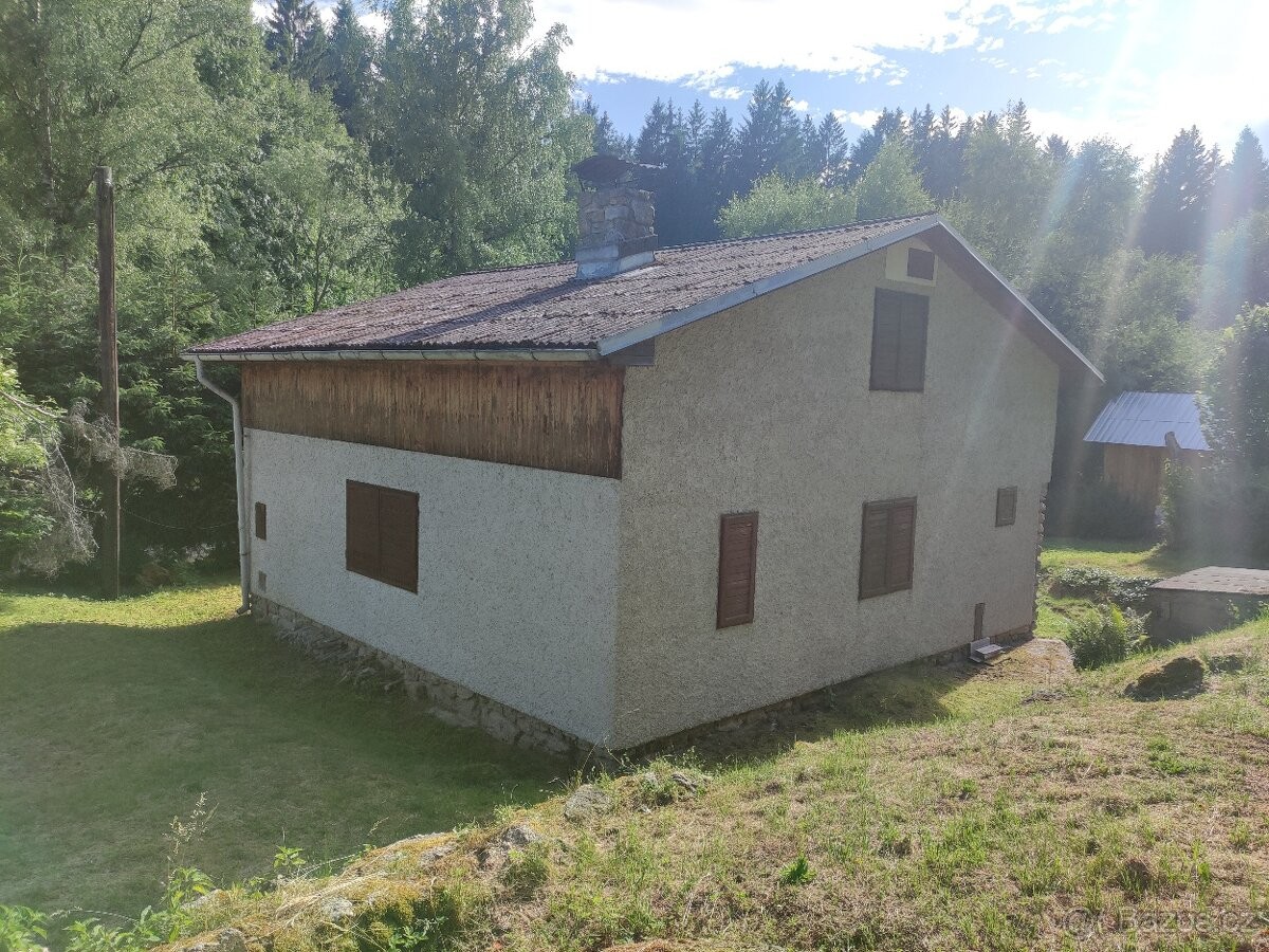 Chata · Benešov nad Černou, 382 82 - 4