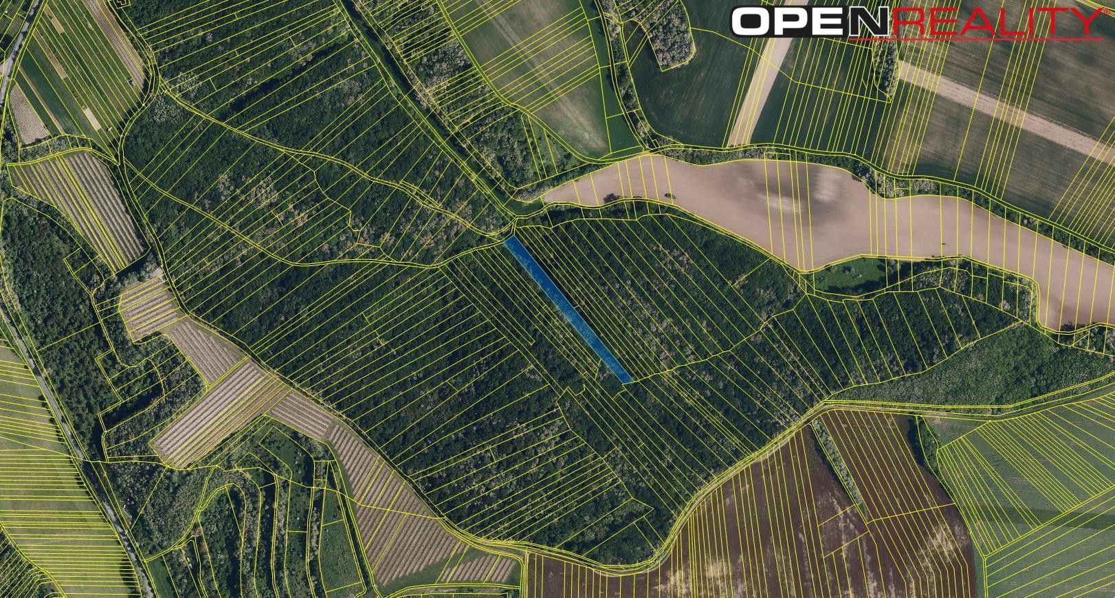 Lesy, Divácká, Šitbořice, 4 682 m² - 2