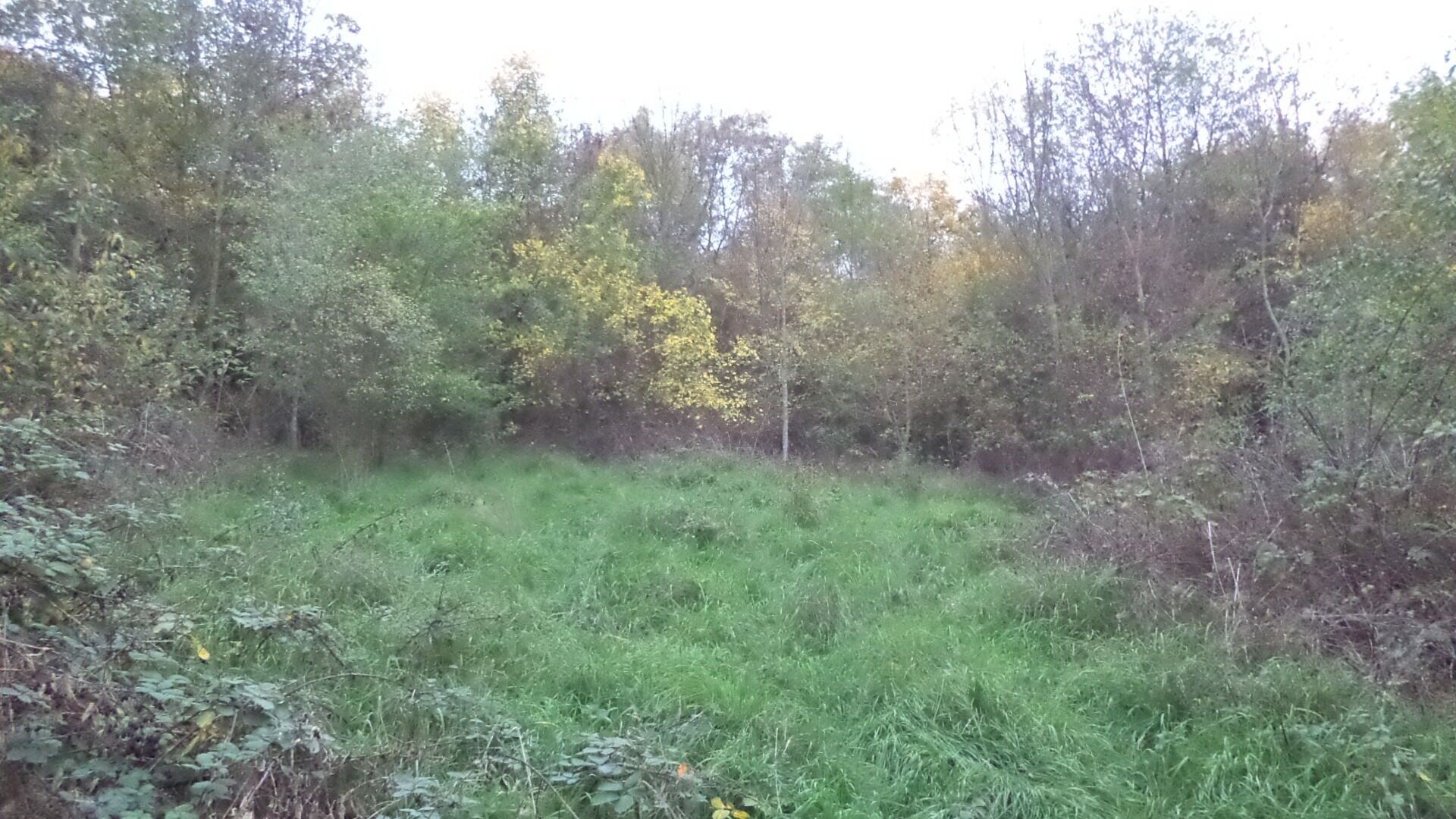Pozemek · 14 780 m² · Ústí nad Labem Mojžíř - 3