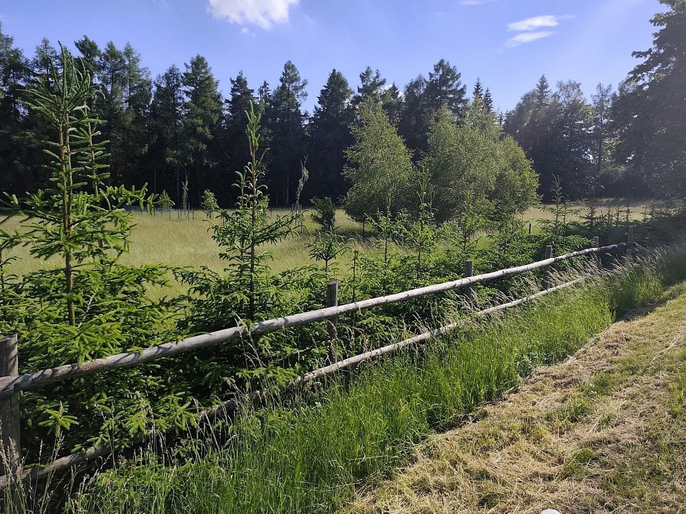 Pozemek pro bydlení · Tři Studně, okres Žďár nad Sázavou, Kraj Vysočina - 4
