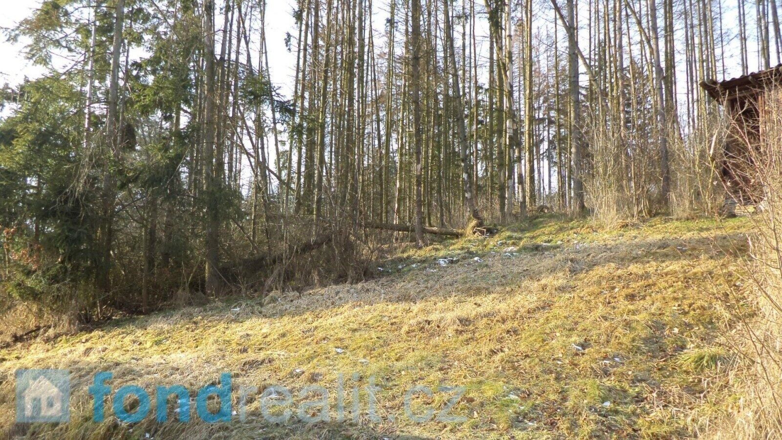 Ostatní, Tábor Čelkovice, 1 595 m² - 1