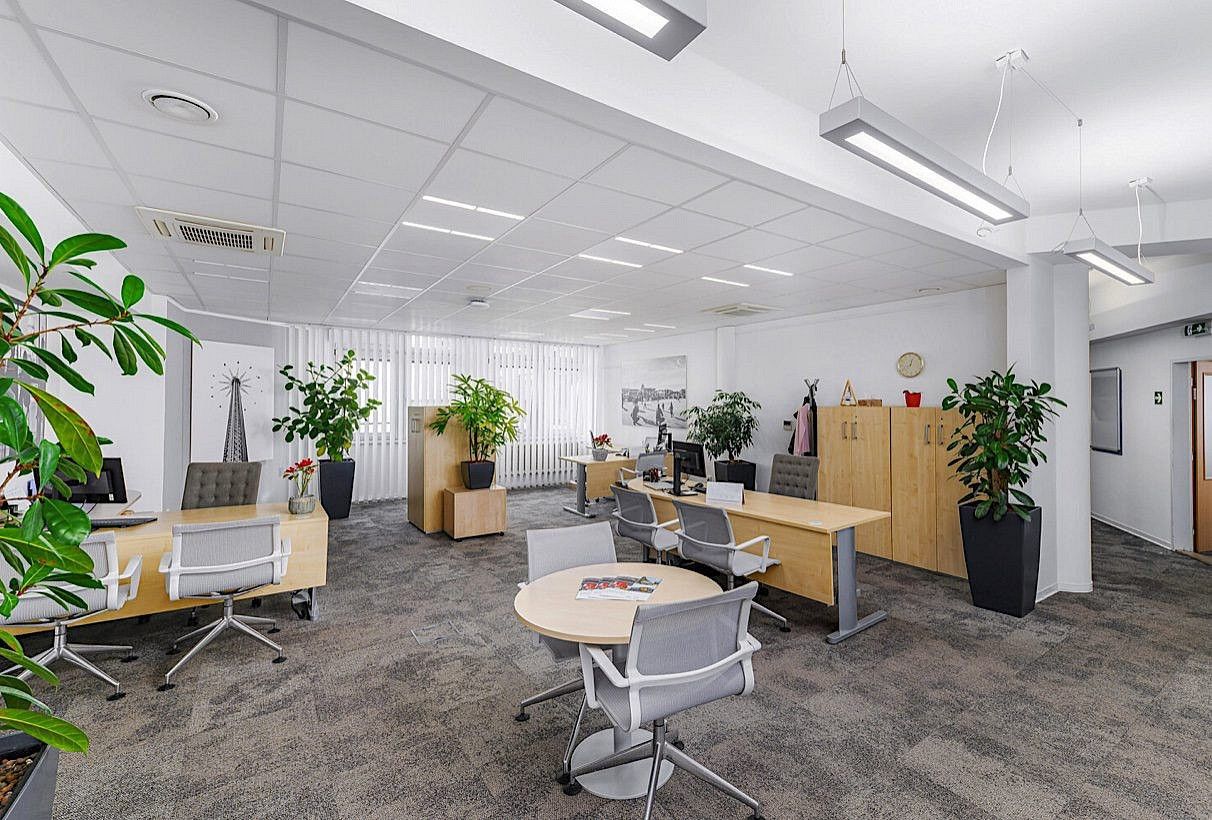Pronájem obchodní prostory - Mladá Boleslav, Středočeský kraj, 317 m² - 5