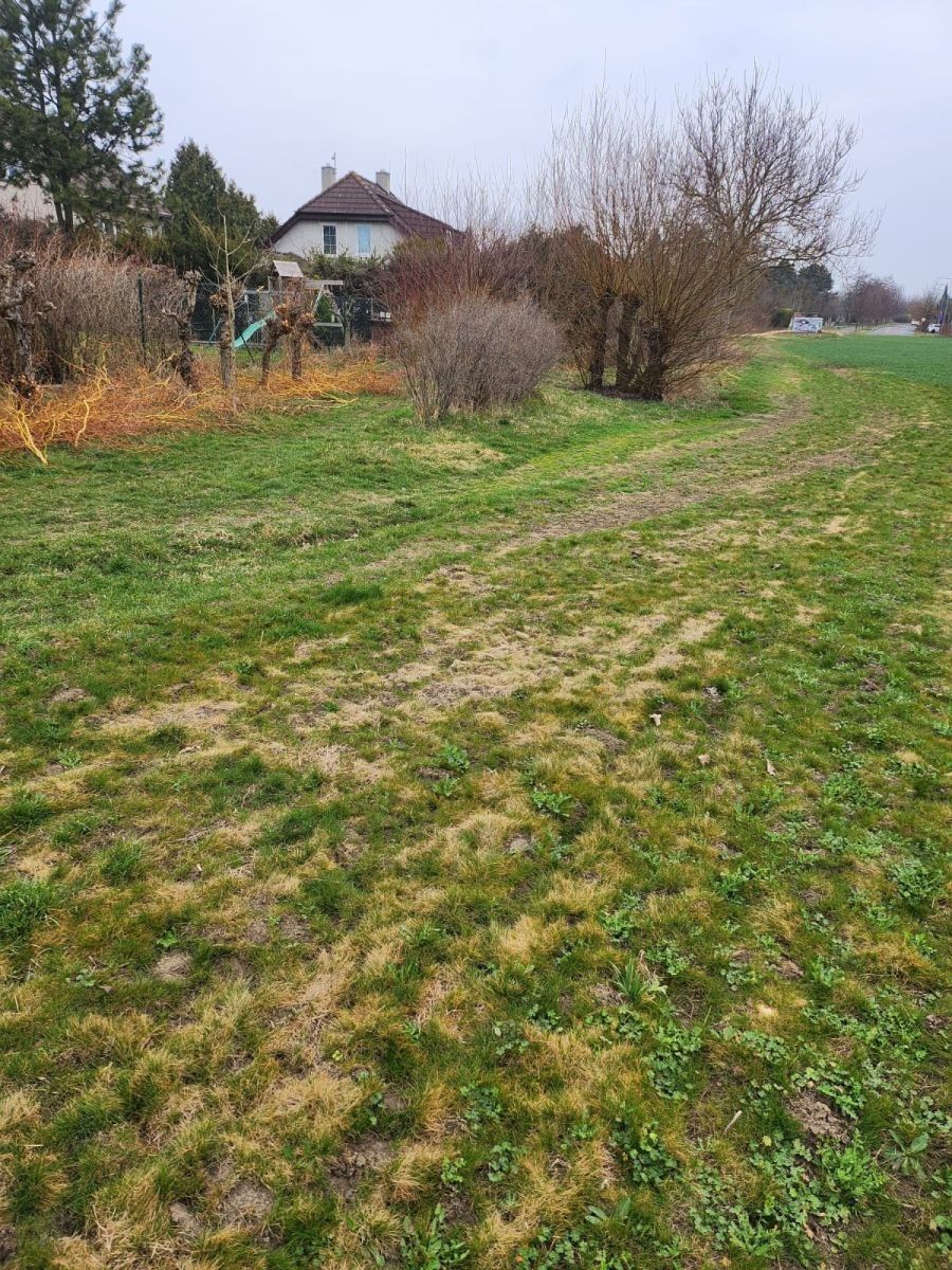 Zemědělský pozemek · Zeleneč - Zeleneč, Středočeský kraj - 4