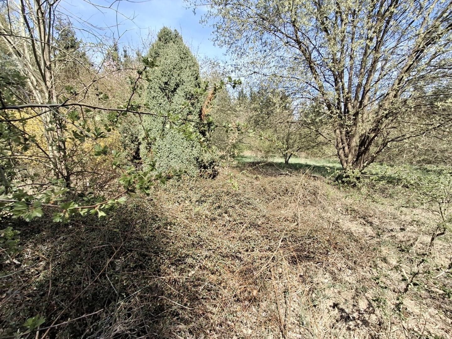 Komerční pozemek · Dalovice - 4