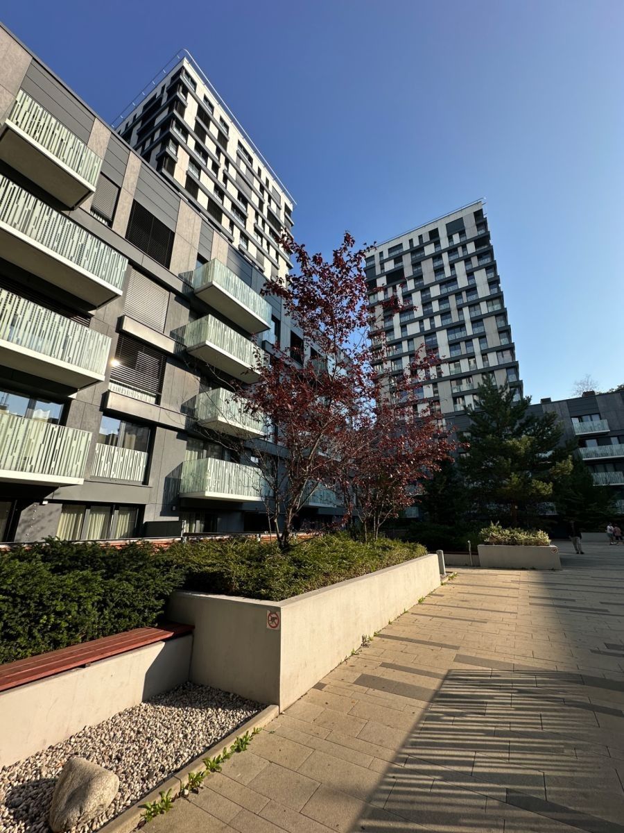 2+1, Olšanská, Praha - Žižkov, 66 m² - 1