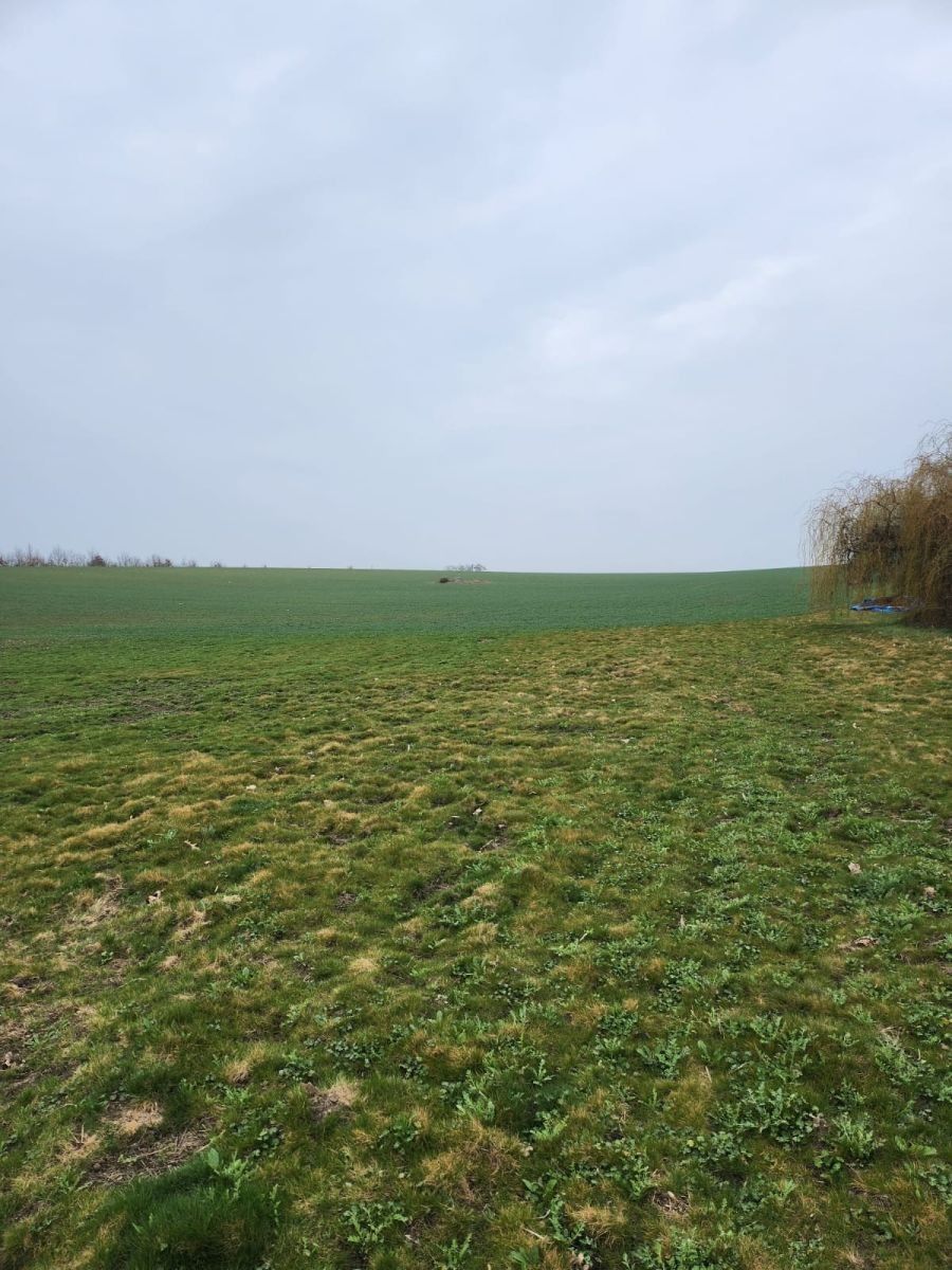 Prodej zemědělský pozemek - Zeleneč - Zeleneč, Středočeský kraj - 2
