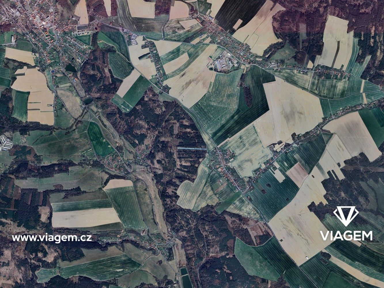 Les · Budětsko, okres Prostějov, Olomoucký kraj - 3