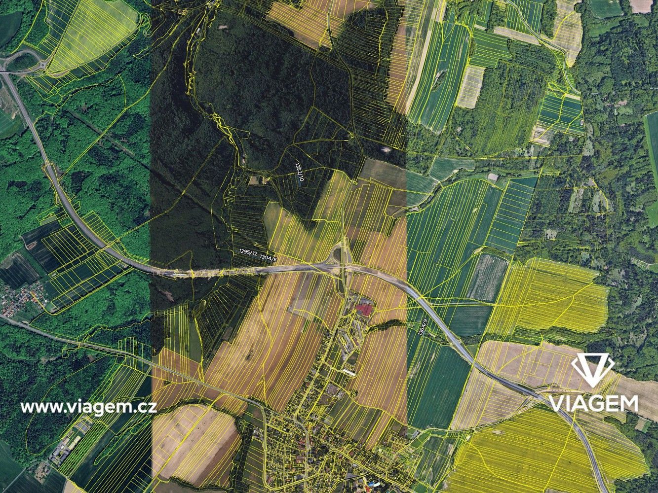 Les · Velká Polom, okres Ostrava-město, Moravskoslezský kraj - 4