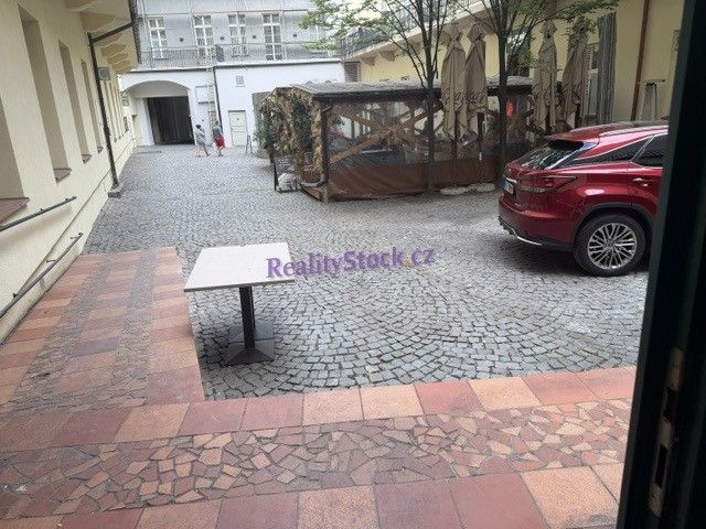 Restaurace · 300 m² · Václavské náměstí, Praha - 4