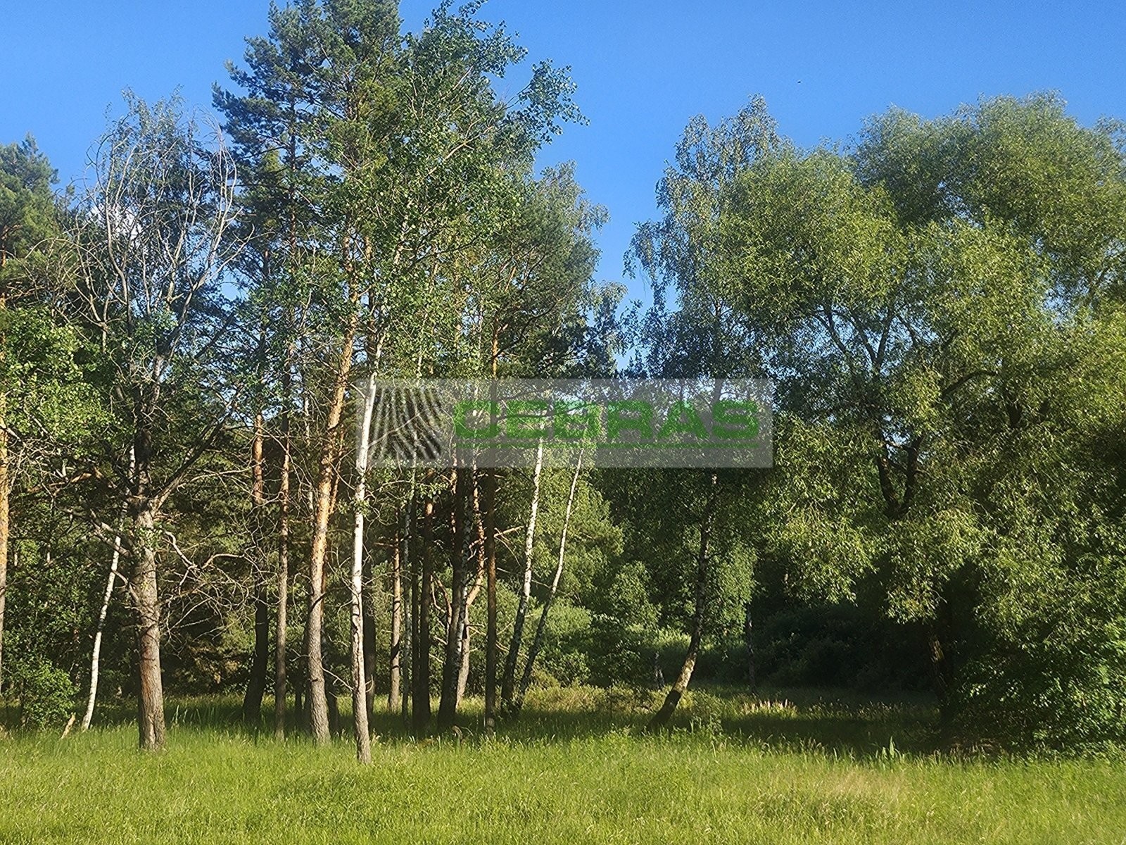 Louka · 3 029 m² · Třeboňská, Třeboň - 4