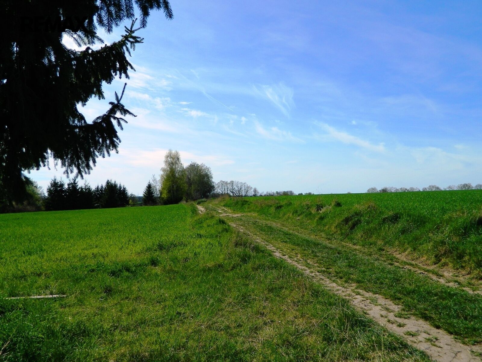 Pozemek pro bydlení · 984 m² · Přehořov - 4