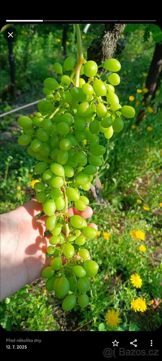 Chaty, Mutěnice, 696 11
