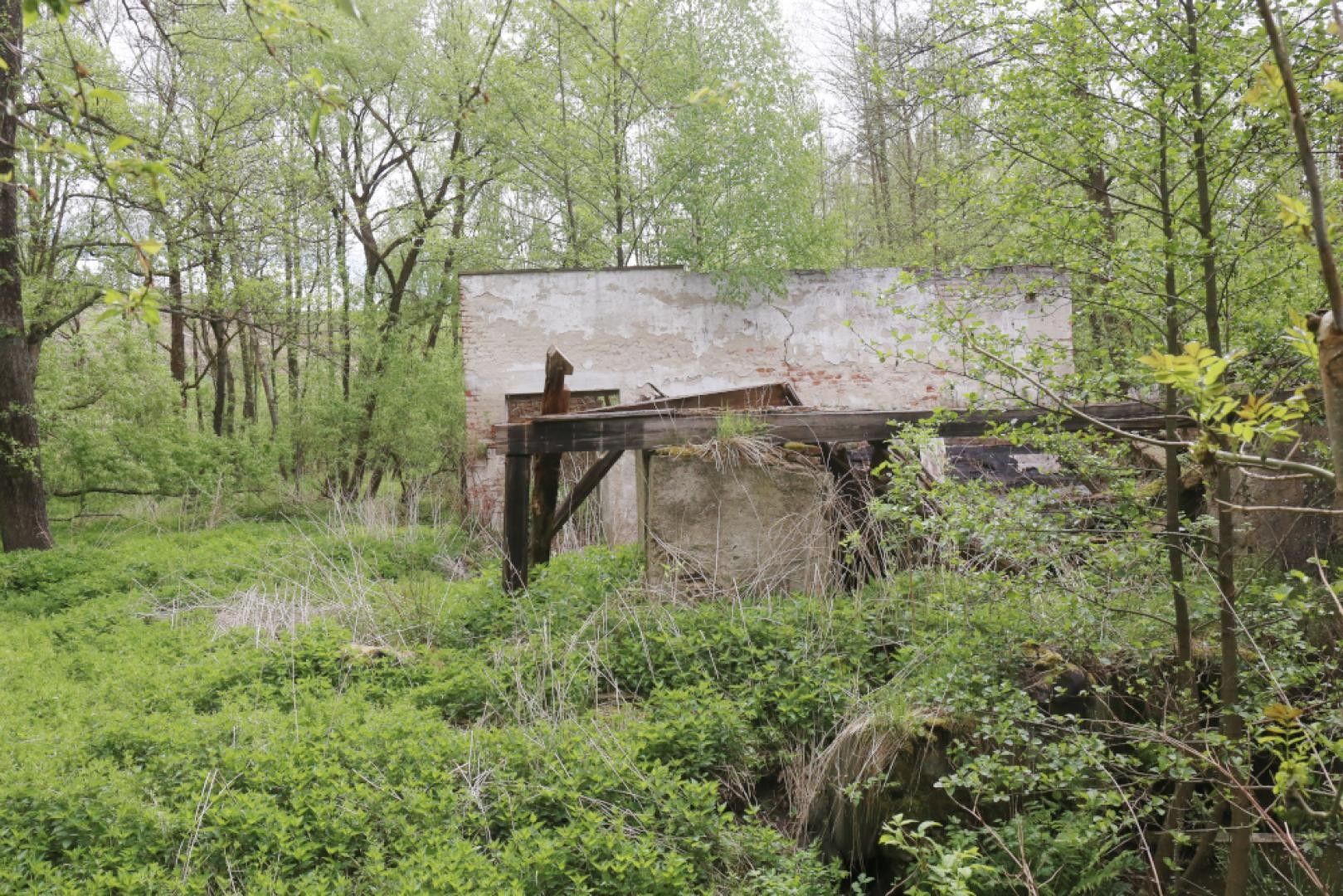 Prodej pozemek - Šlapanov - 5