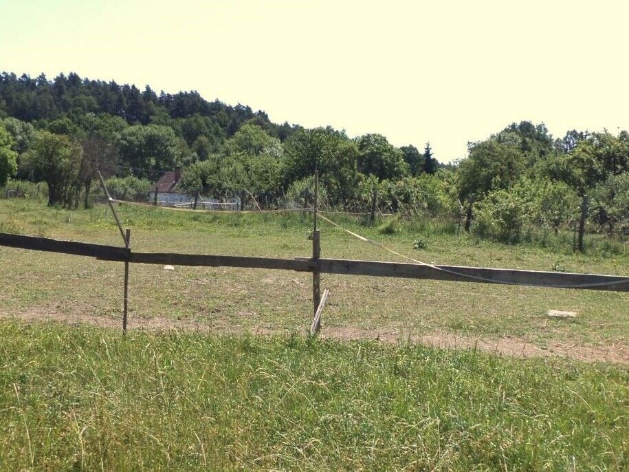 Prodej zemědělský pozemek - Přeštěnice Držkrajov, 2 817 m² - 5