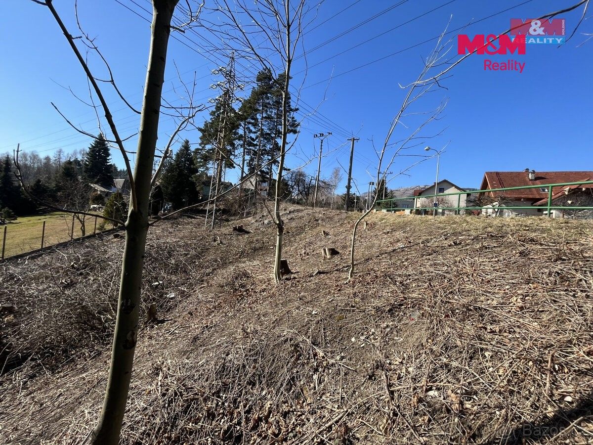 Pozemek pro bydlení · Frýdlant nad Ostravicí, 739 11 - 3