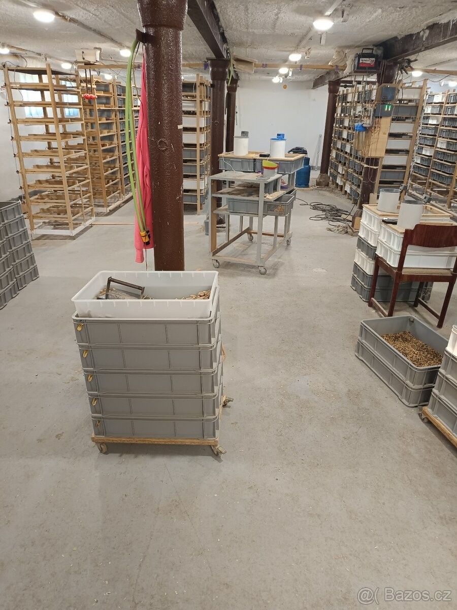 Pronájem ostatní - Ostrava, 708 00