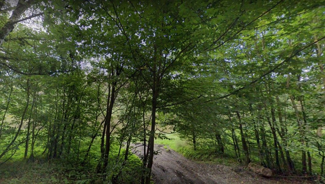 Prodej louka - Žloukovice, Nižbor, 1 200 m²